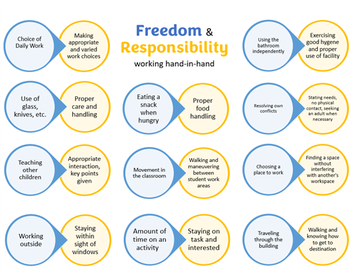 Freedom & Responsibility working hand-in-hand